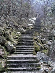 2357231296_9a5463ecc8