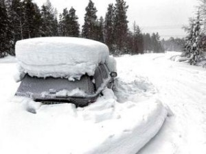 138337-medium-01_stranded-how-to-survive-snow-winter