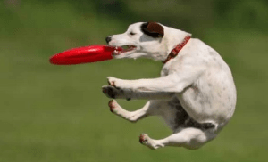 Screenshot 2014-11-04 15.29.34