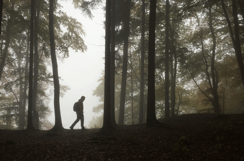 Lost In A Dark Wood