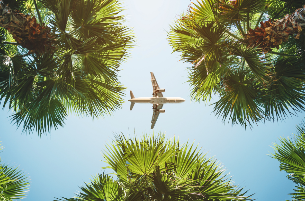 A Vacation From The Vacation